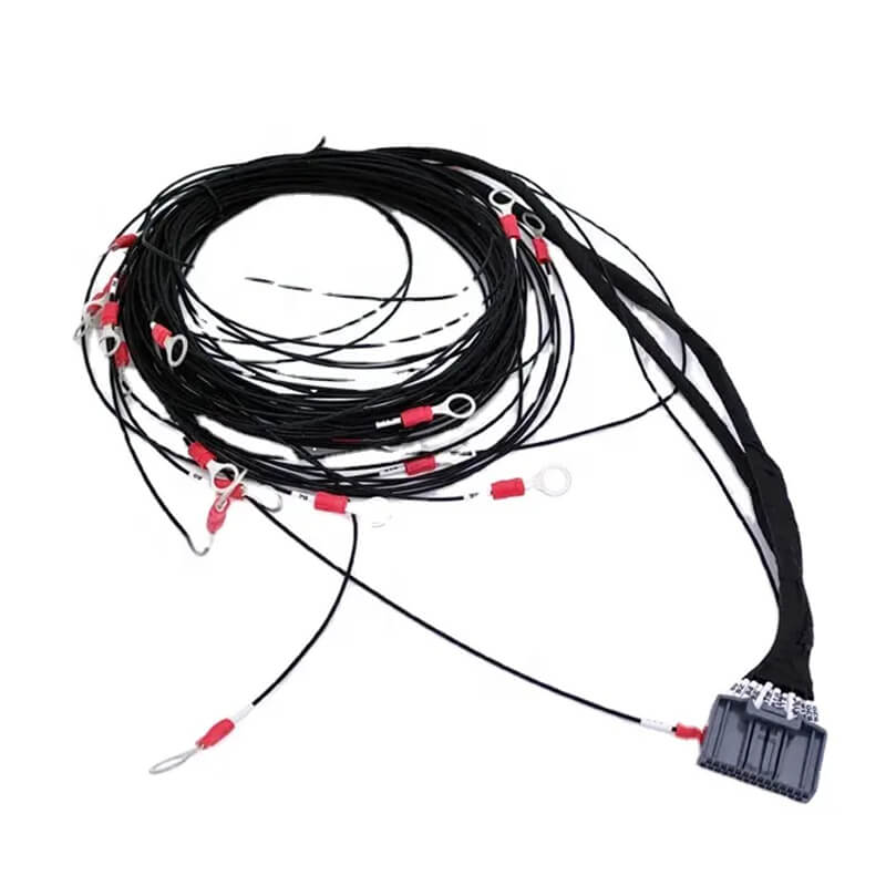 Ring Terminal Harness